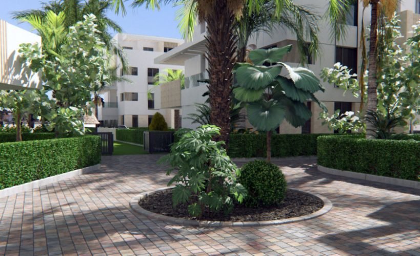 01HKQAGFXDERG7QA4FVC7TH0BE-medium