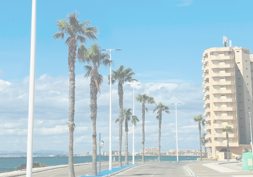 Palm-lined coastal road in Spain with modern apartment buildings by the sea, representing Mediterranean lifestyle and living in Spain.